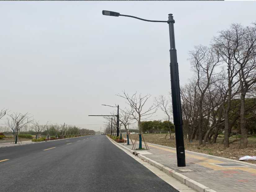 扬中市上海综合杆 太阳能路灯工程